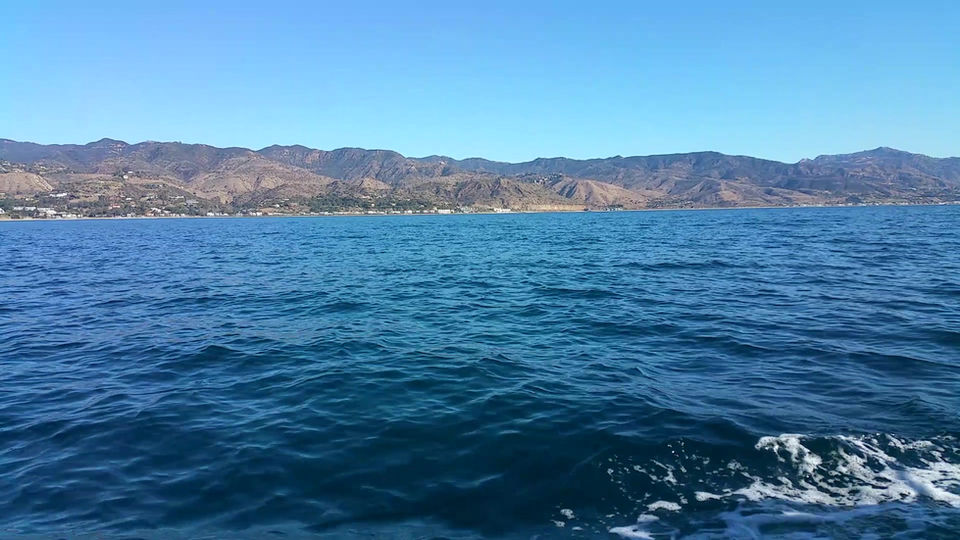Dolphin Escort! 2/24/18